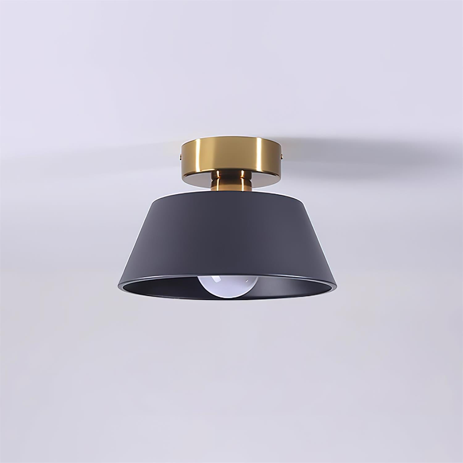 Devon Ceiling Light