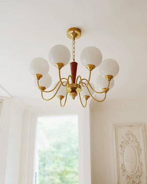 Cavella Chandelier