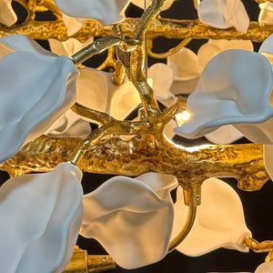 Liorwyn Chandelier