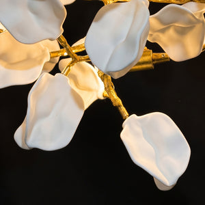 Liorwyn Chandelier