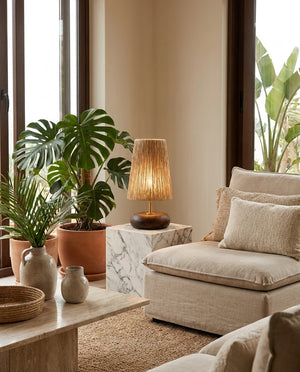 Norvane Table Light