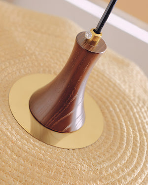 Drapelle Pendant Lamp