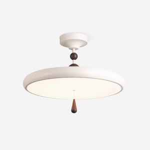 Spectrum Ring Ceiling Lamp