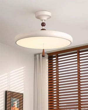 Spectrum Ring Ceiling Lamp