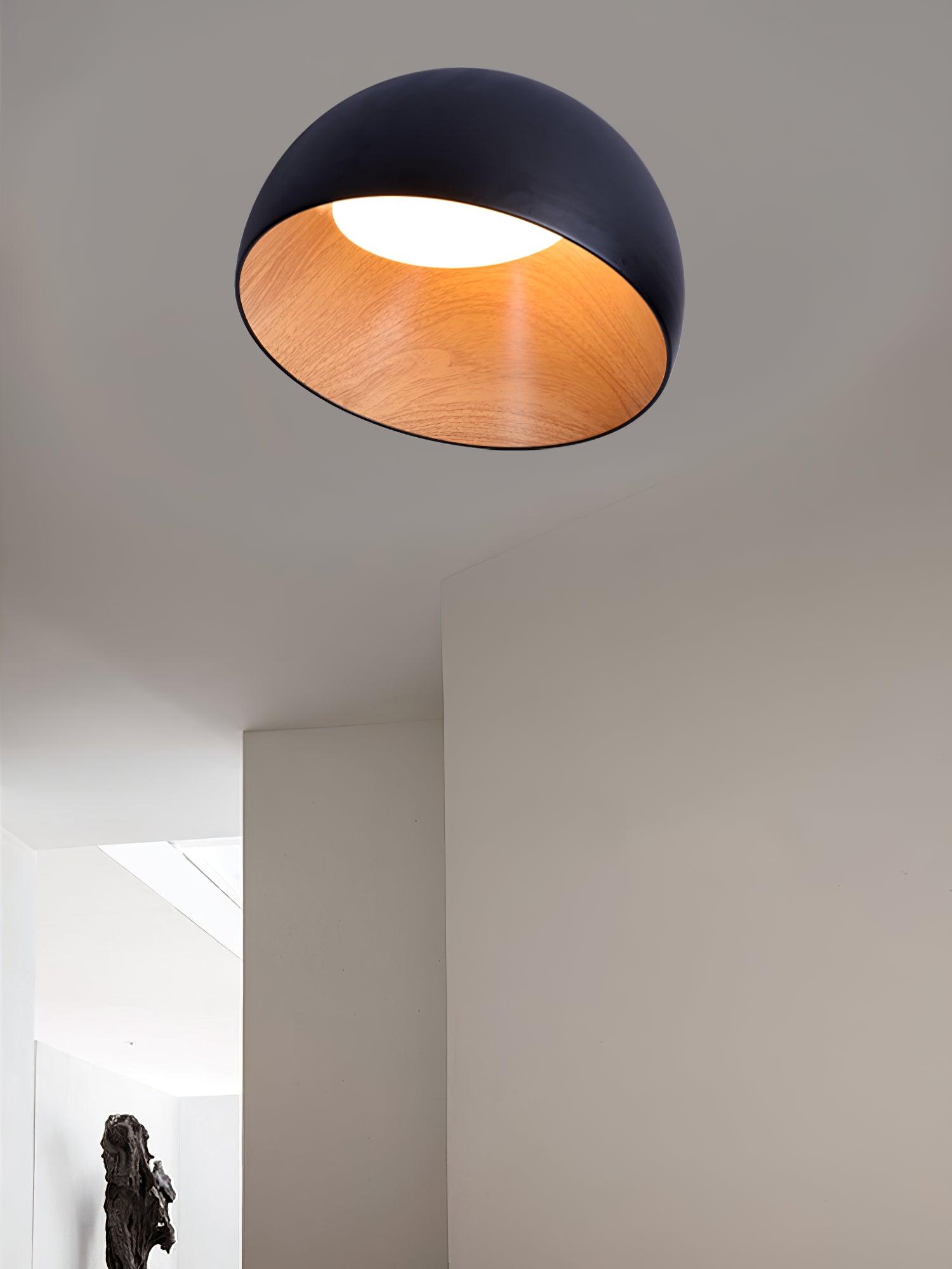Duo Ceiling Lamp