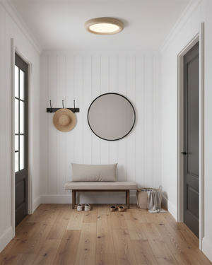 Earthbound Ceiling Lamp