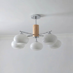 Elliptical Persimmon Chandelier