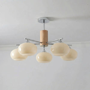 Elliptical Persimmon Chandelier