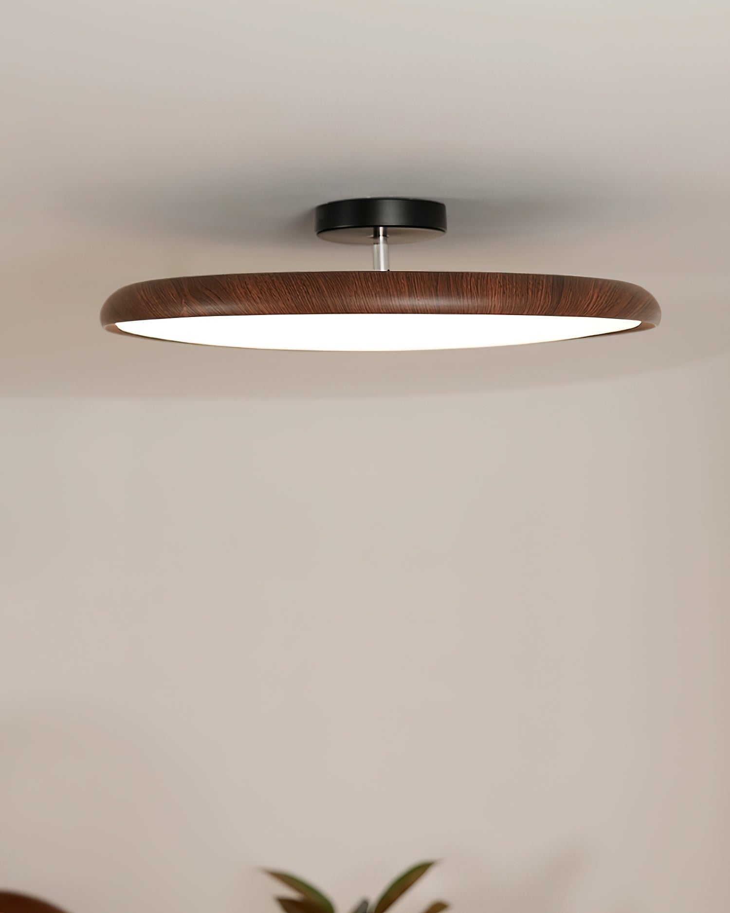 Ellos Ceiling Light