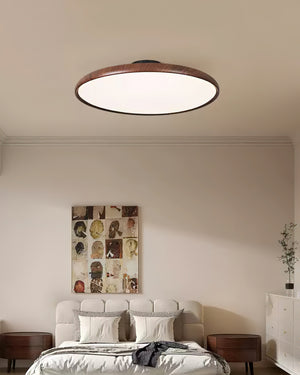 Ellos Ceiling Light