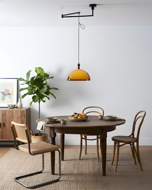 Eloise Swing Arm Pendant Lamp