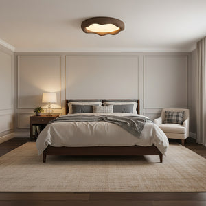 ضوء السقف إلسا