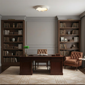 ضوء السقف إلسا