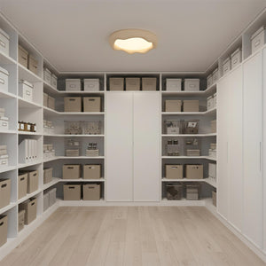 ضوء السقف إلسا