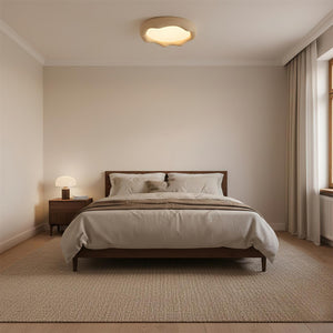 ضوء السقف إلسا