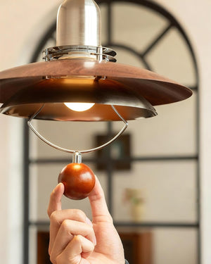 Eryndor Swing Arm Pendant Lamp