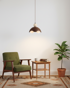Eunoia Curve Pendant Lamp