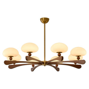 Evander Ray Chandelier