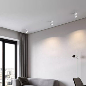 Favilla Surface Ceiling Lamp 3.9″