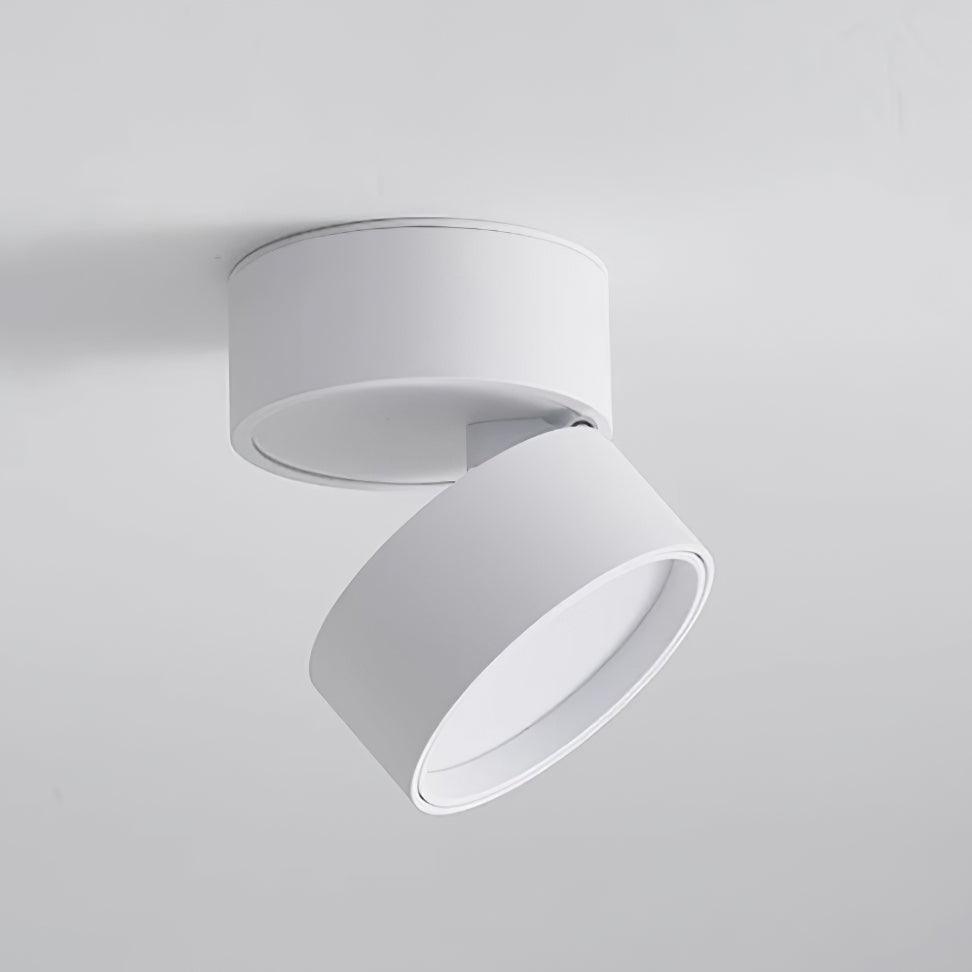 Favilla Surface Ceiling Lamp 3.9″ - Docos