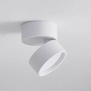 Favilla Surface Ceiling Lamp 3.9″