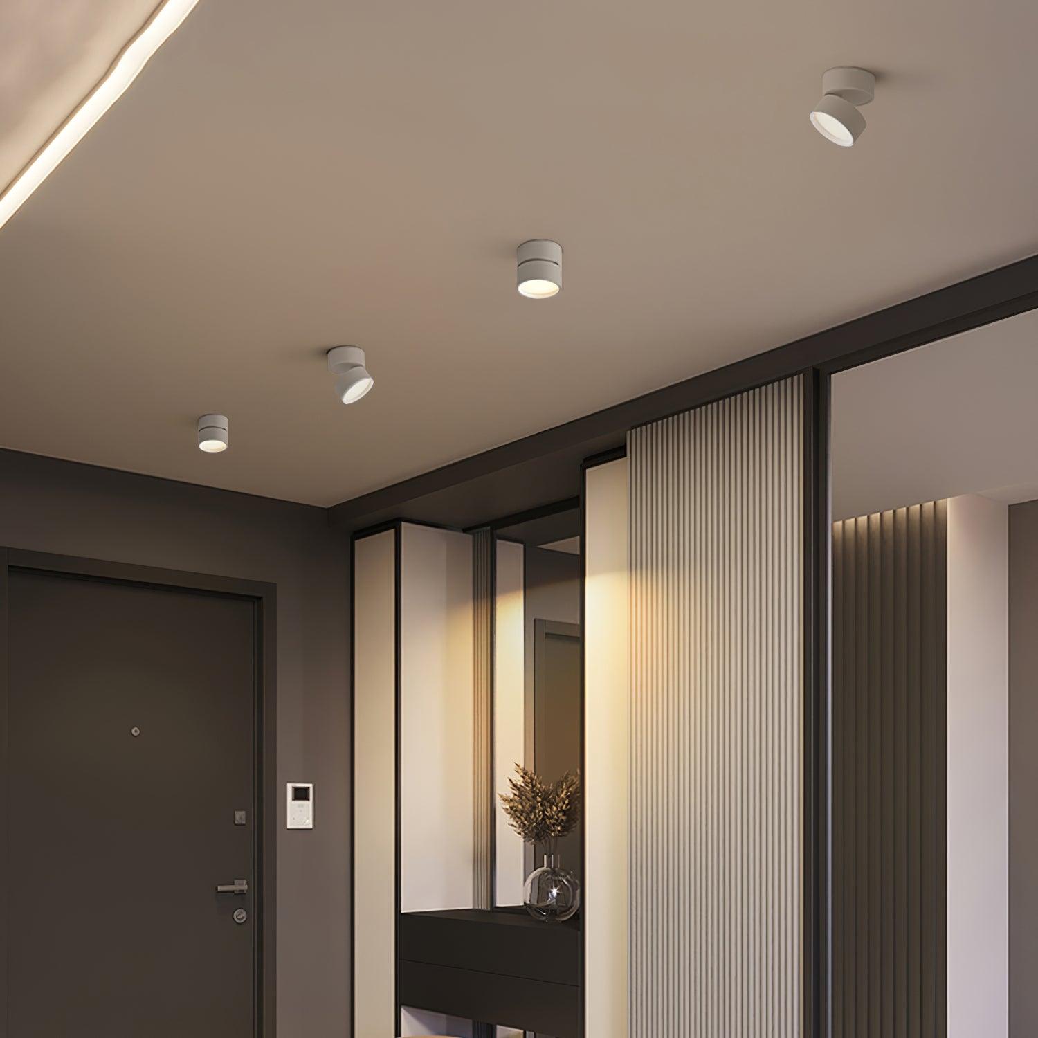 Favilla Surface Ceiling Lamp 3.9″ - Docos