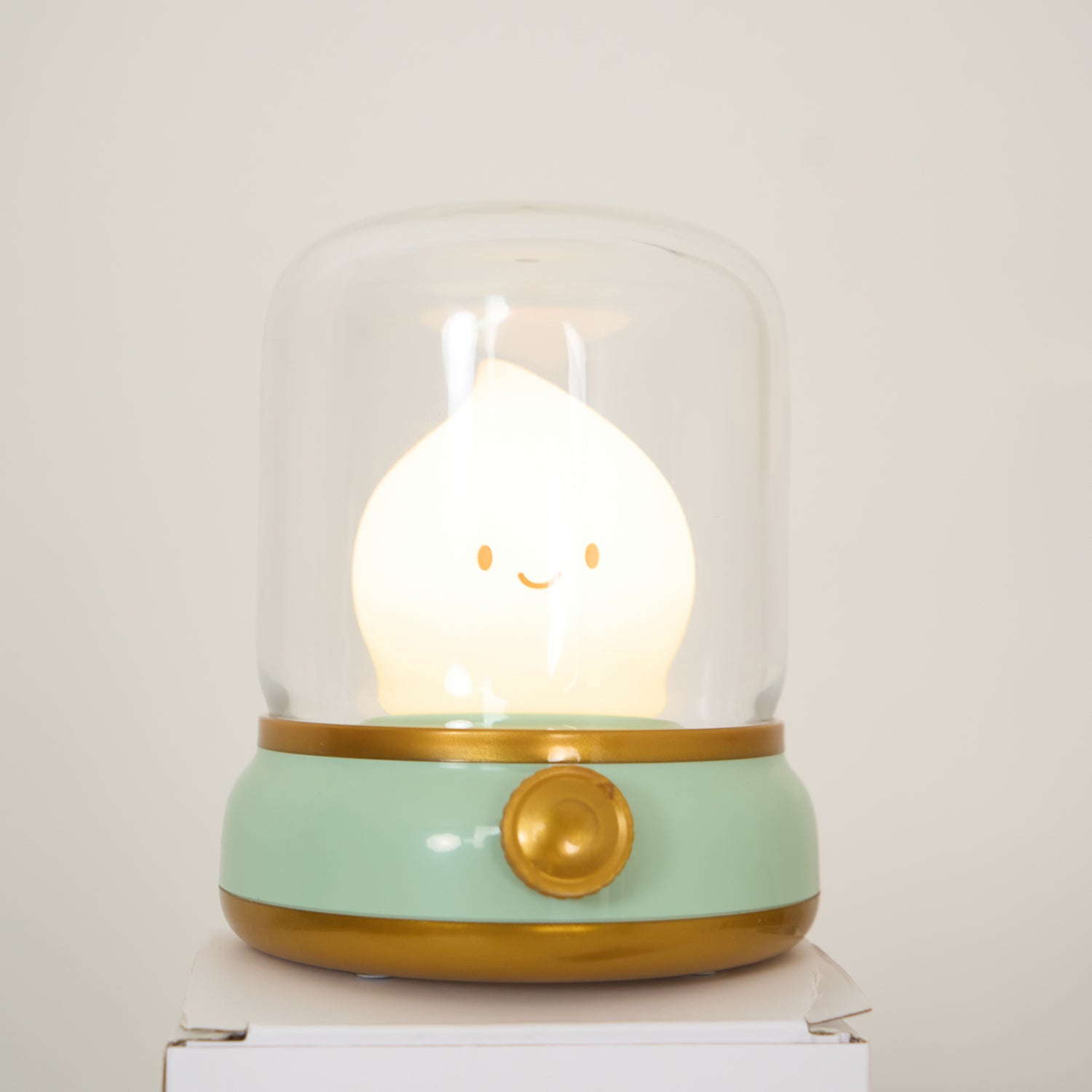 Flame LED Small Night Light