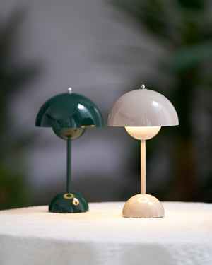 Rechargeable LED Small Desk Lamp