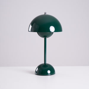 Rechargeable LED Small Desk Lamp