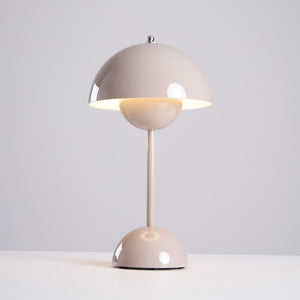 Rechargeable LED Small Desk Lamp