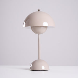 Rechargeable LED Small Desk Lamp