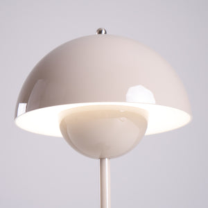 Rechargeable LED Small Desk Lamp