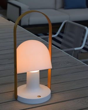 FollowMe Portable Table Lamp (built-in battery)