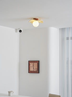 Gand Ceiling Light