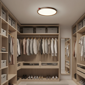 Geos LED Ceiling Light