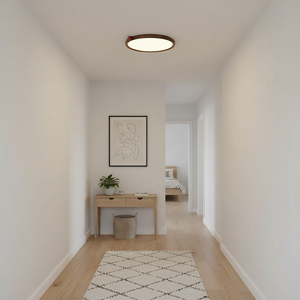 Geos LED Ceiling Light