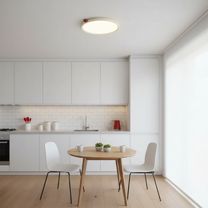 Geos LED Ceiling Light