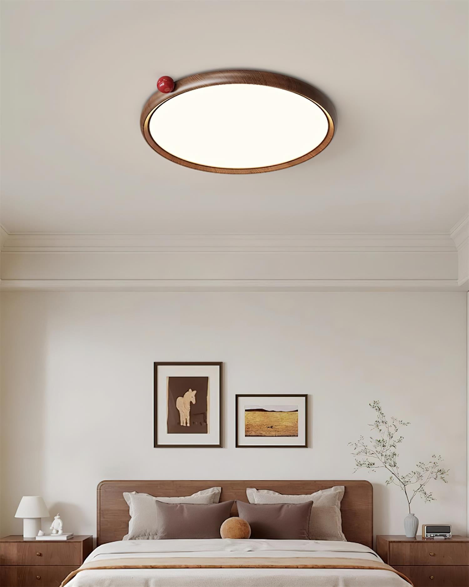 Geos LED Ceiling Light