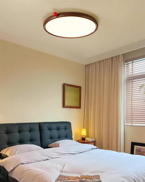 Geos LED Ceiling Light