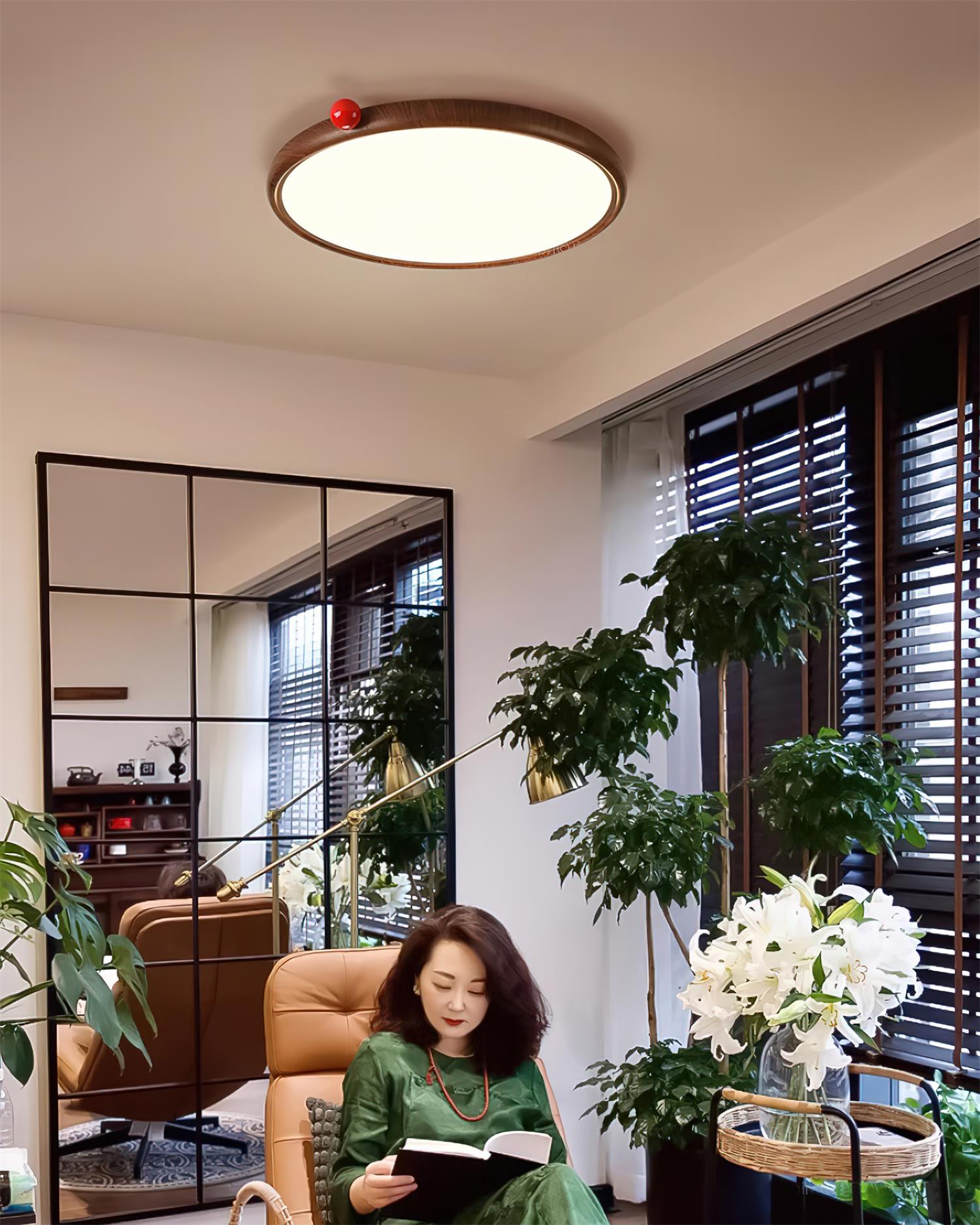 Geos LED Ceiling Light