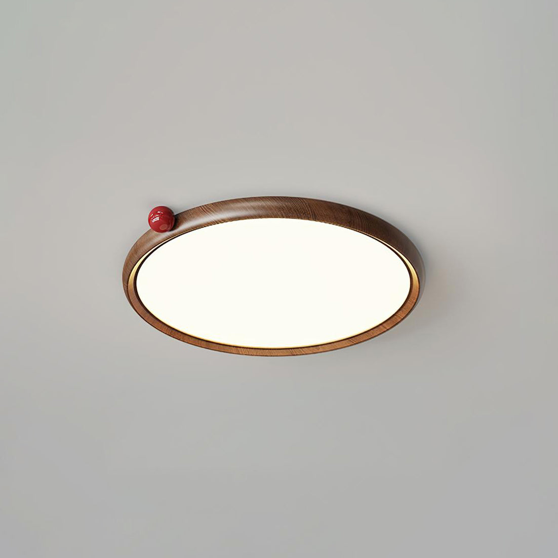 Geos LED Ceiling Light