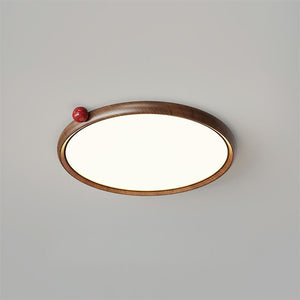 Geos LED Ceiling Light