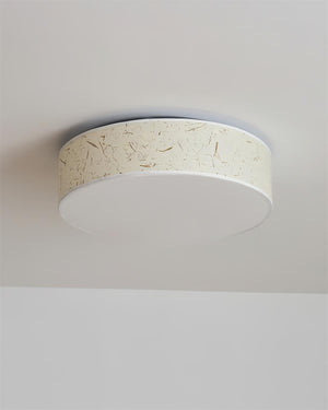 Hayden Ceiling Lamp