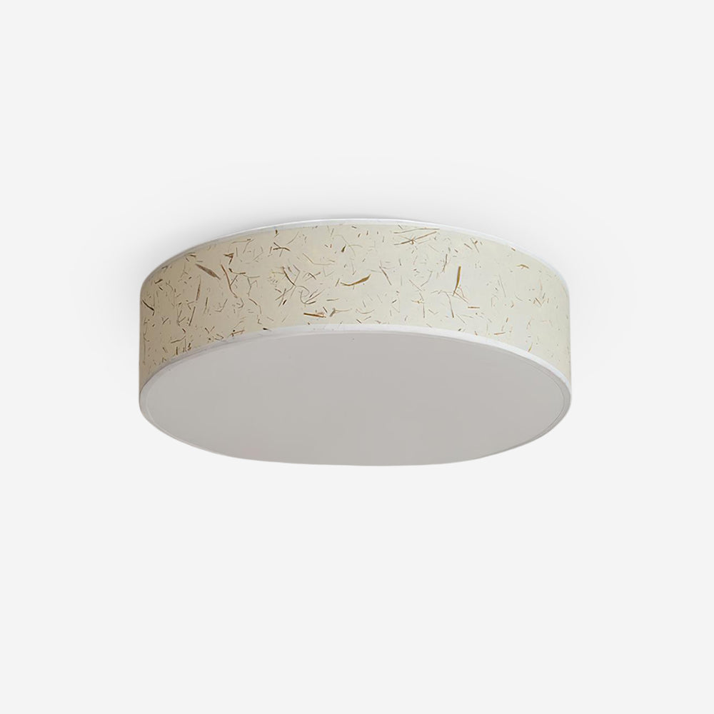 Hayden Ceiling Lamp