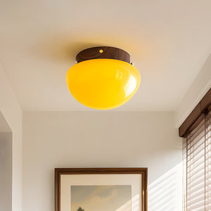 Honeyed Dome Ceiling Lamp