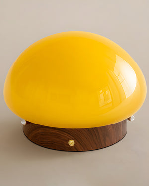 Honeyed Dome Ceiling Lamp