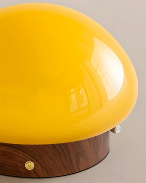 Honeyed Dome Ceiling Lamp