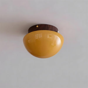 Honeyed Dome Ceiling Lamp