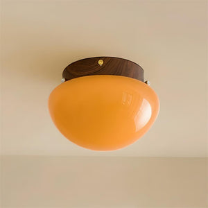 Honeyed Dome Ceiling Lamp