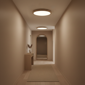 Kleine Ceiling Light